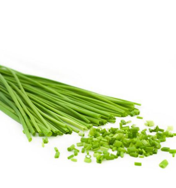 Chives
