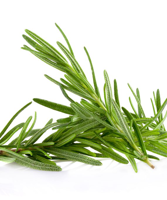 Rosemary