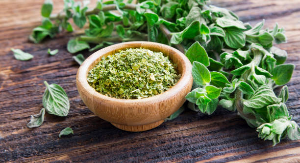 Oregano - Image 2